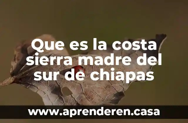 Que es bollon en la costa 6 Que es la costa sierra madre del sur de chiapas