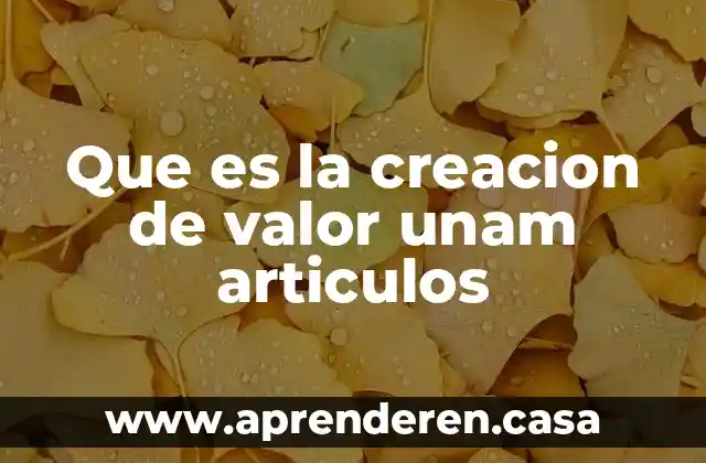 Que es la creacion de valor unam articulos