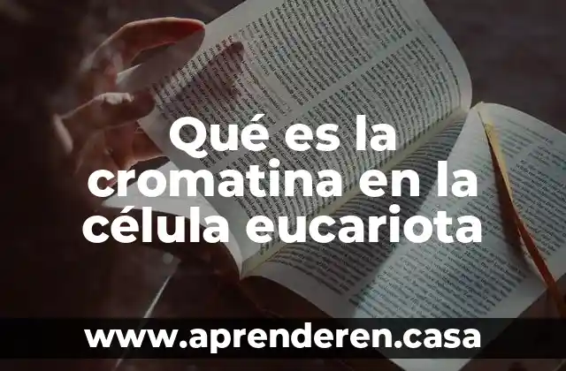 Que es una celula reactiva neoplasica y displasica 7 Qué es la cromatina en la célula eucariota