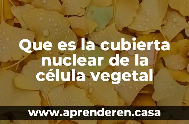 Que es la cubierta nuclear de la célula vegetal