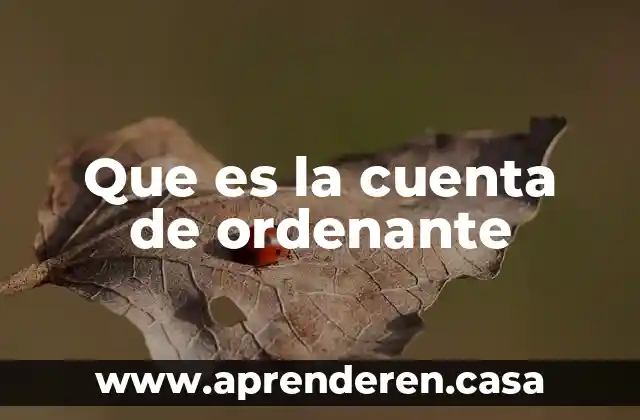 Que es la cuenta de ordenante