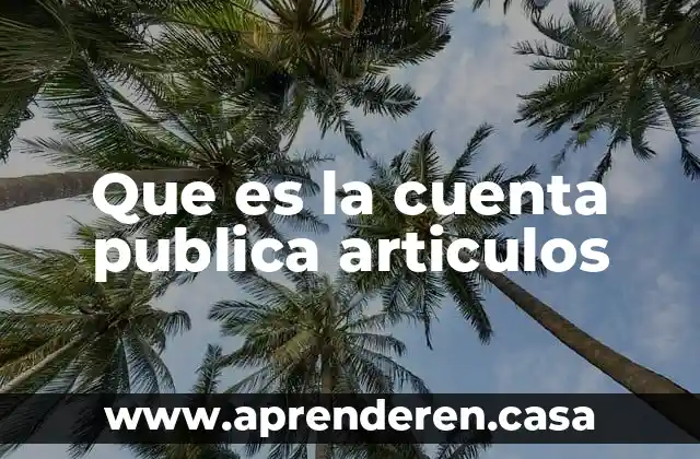 Que es id publica 7 Que es la cuenta publica articulos