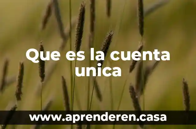 Que es la cuenta unica