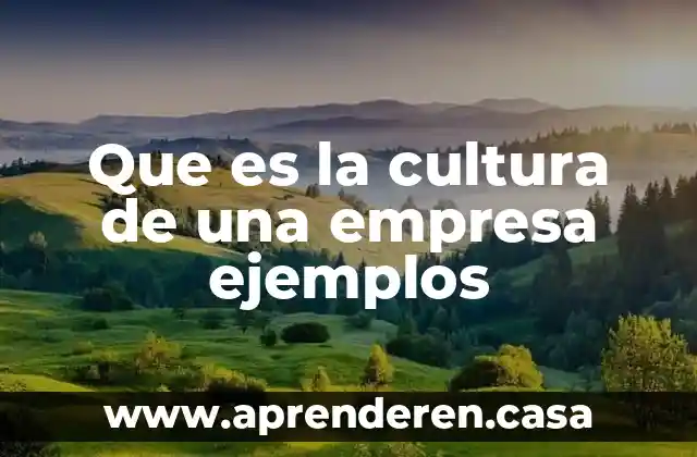 Que es la cultura de una empresa ejemplos