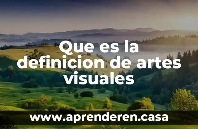 Que es la definicion de artes visuales