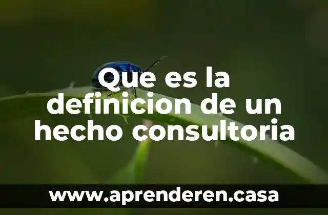 Que es la definicion de un hecho consultoria