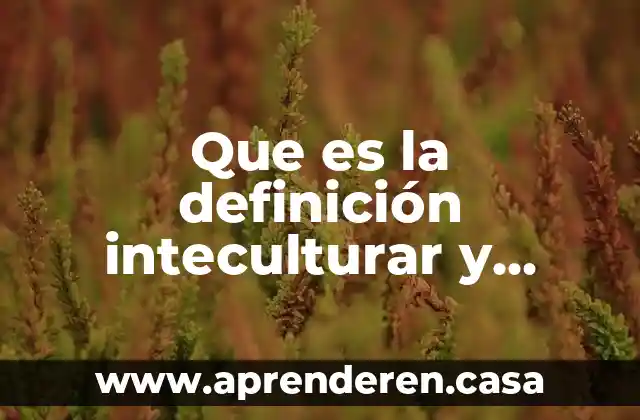 Que es la definición inteculturar y intercutilidad