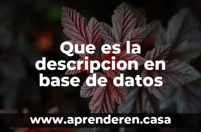 Que es la descripcion en base de datos