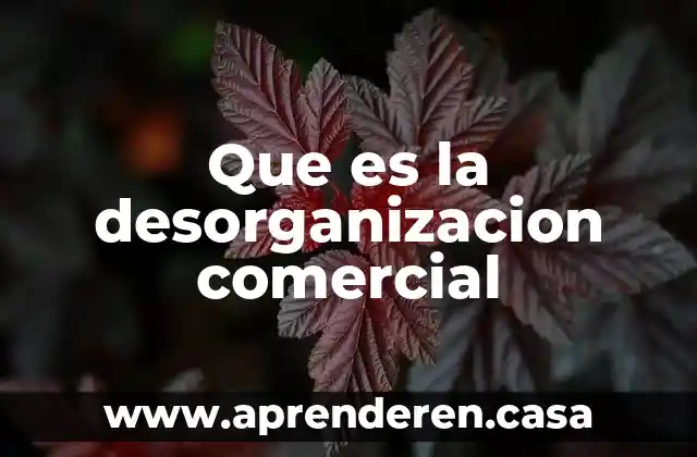 Que es comercial electrónico 6 Que es la desorganizacion comercial