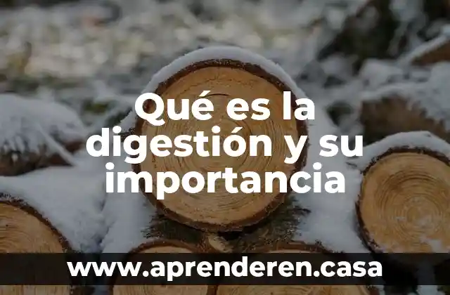 Qué es derecho agrario su importancia 3 Qué es la digestión y su importancia
