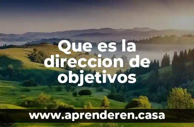Que es la direccion de objetivos