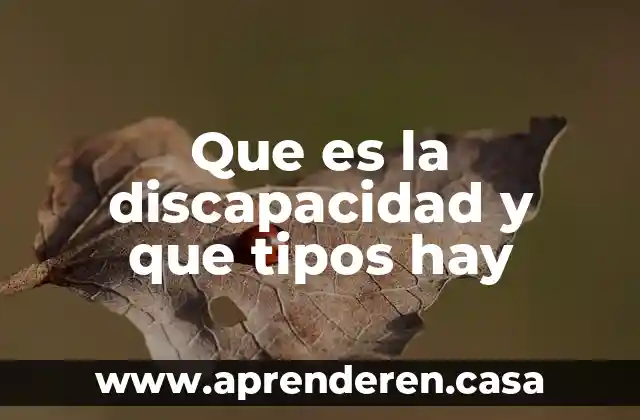 Que es la discapacidad y que tipos hay