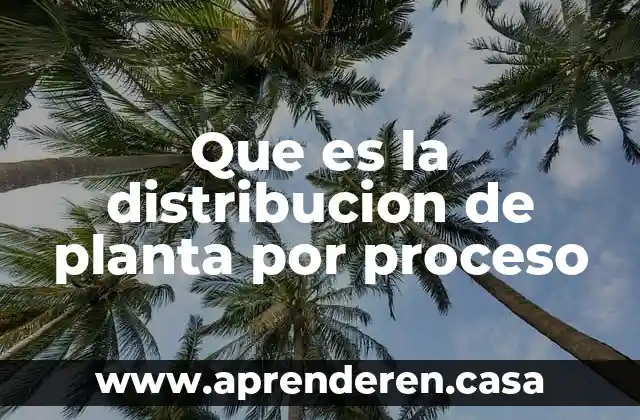 Que es la distribucion de planta por proceso
