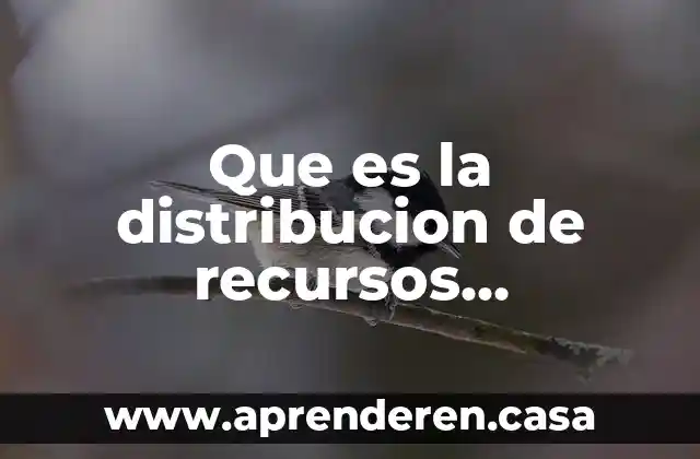Que es la distribucion de recursos financieros en una empresa