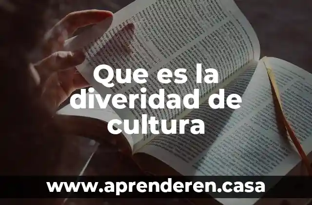 Que es la diveridad de cultura
