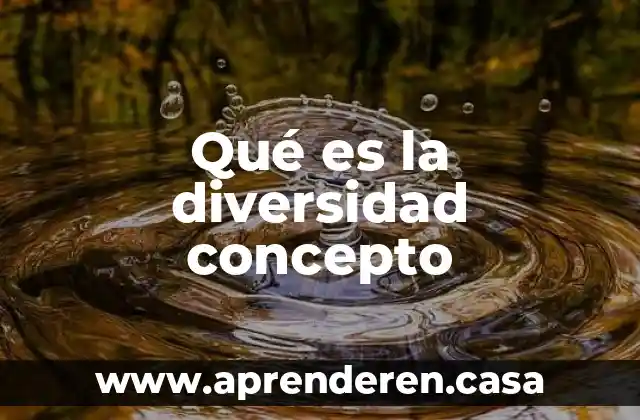Qué es la diversidad concepto