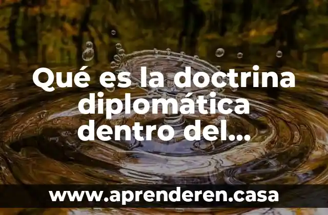 Qué es público local 5 Qué es la doctrina diplomática dentro del derecho internacional público