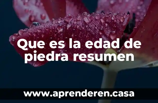 Que es labradores edad media 7 Que es la edad de piedra resumen