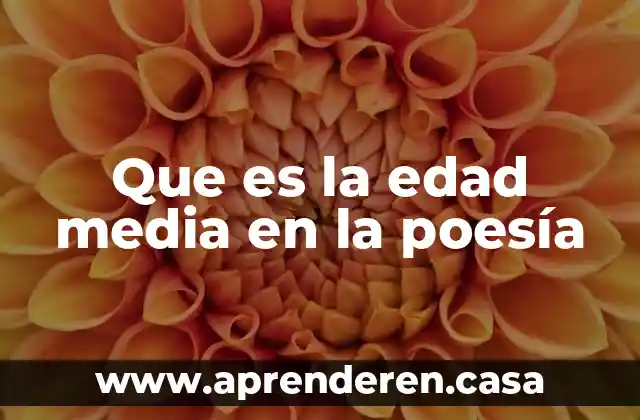 Que es la edad media en la poesía