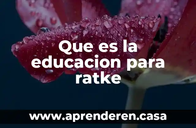 Que es la educacion para ratke
