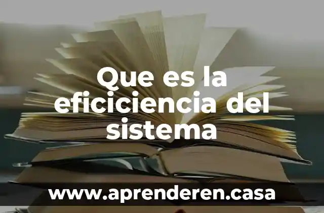 Qué es el sistema M1 en la XDMX 3 Que es la eficiciencia del sistema