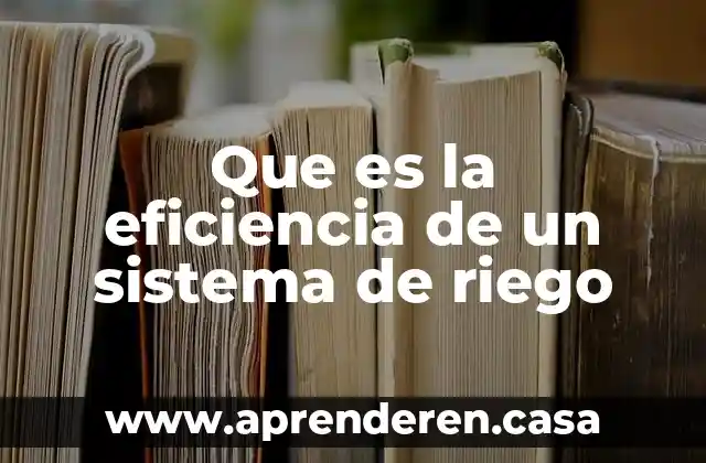 Por que es importantes un sistema de riego 6 Que es la eficiencia de un sistema de riego