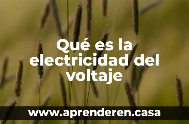 Que es la electricidad prezi 8 Qué es la electricidad del voltaje