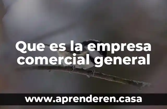 Que es comercial electrónico 5 Que es la empresa comercial general