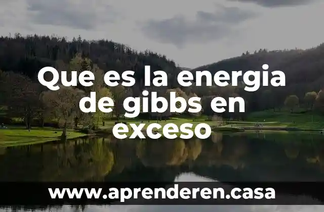 Que es la energia de gibbs en exceso