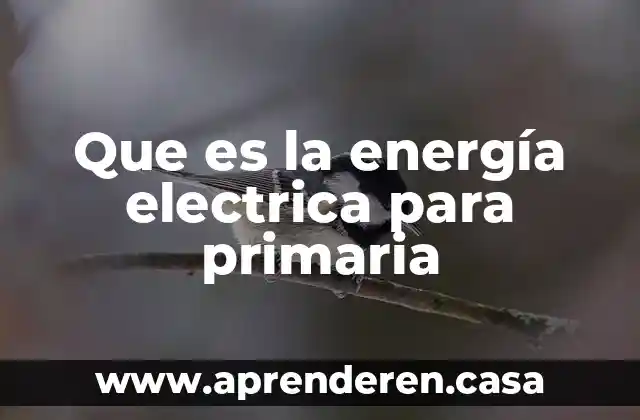 Qué es una calavera eléctrica 4 Que es la energía electrica para primaria