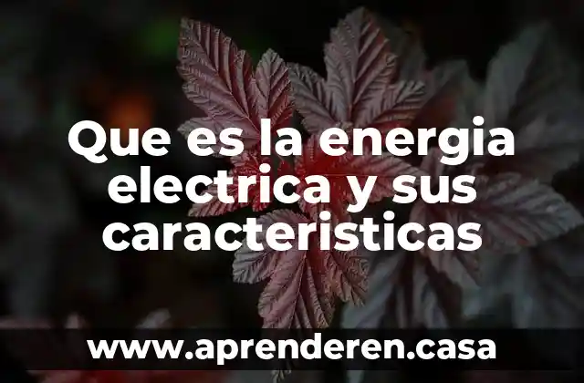Que es la energia electrica y sus caracteristicas