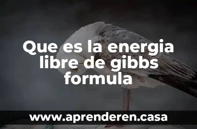 Que es la energia libre de gibbs formula