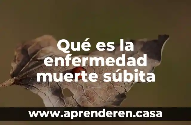 Qué es la enfermedad muerte súbita