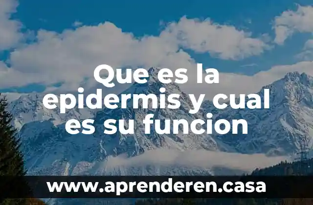 Cual es la dosis que es administrada a intervalos 3 Que es la epidermis y cual es su funcion