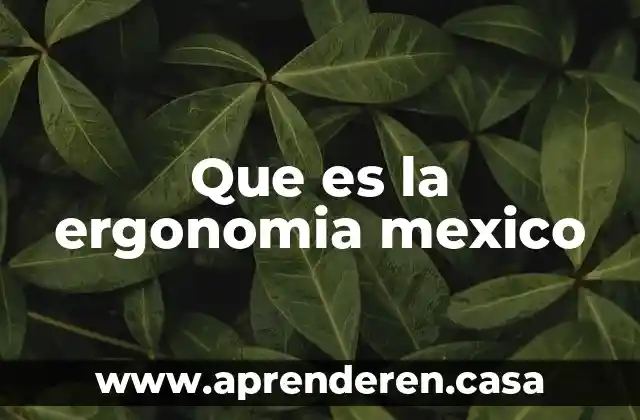 Qué es el delito de depositario infiel México 7 Que es la ergonomia mexico