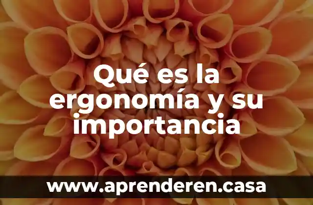 Qué es la ergonomía y su importancia