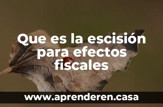 Que es la escisión para efectos fiscales