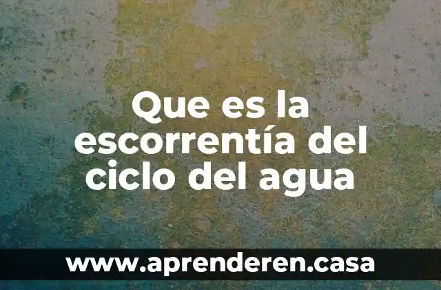Que es la escorrentía del ciclo del agua