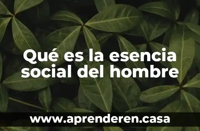 Qué es la esencia social del hombre