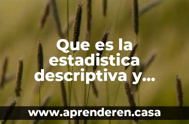 Que es la estadistica descriptiva y diferencial