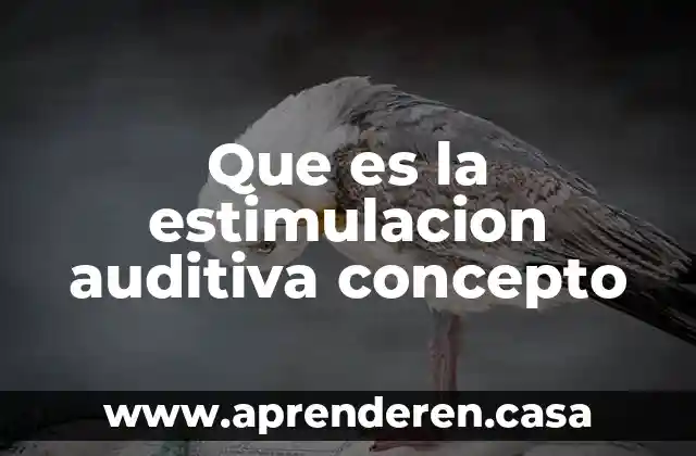 Que es la estimulacion auditiva concepto