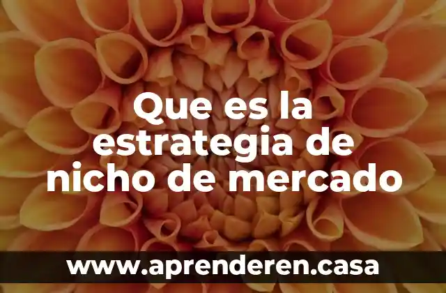 Que es la estrategia de nicho de mercado