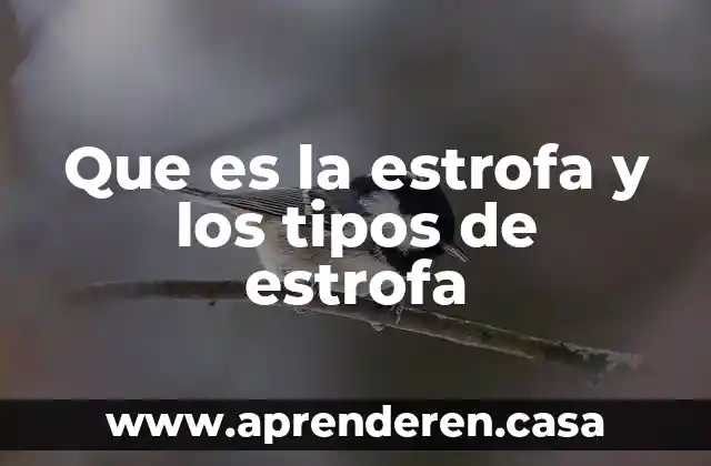 Que es la estrofa y los tipos de estrofa