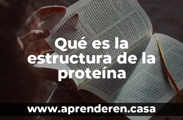 Que es mejor proteina de carne o suero de leche 3 Qué es la estructura de la proteína