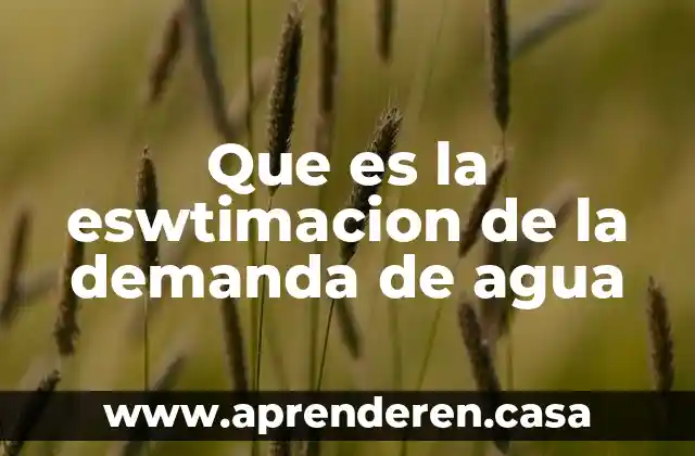 Que es la eswtimacion de la demanda de agua