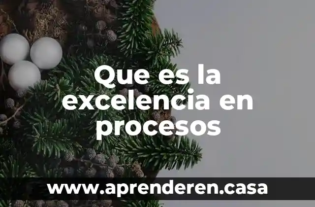 Que es la excelencia en procesos