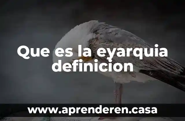 Que es la eyarquia definicion