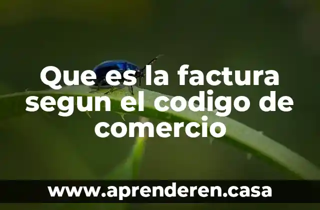 Que es la factura segun el codigo de comercio