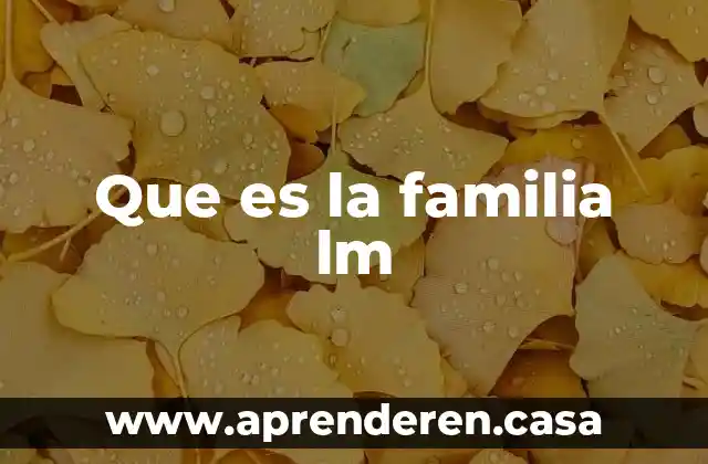 Que es la familia de title block en reivit 3 Que es la familia lm