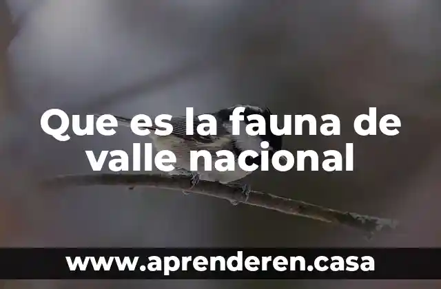 Que es la fauna de valle nacional